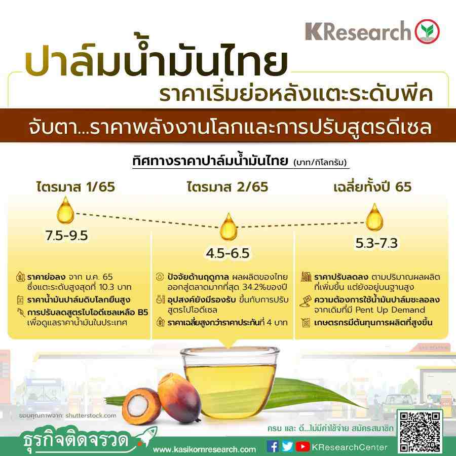 ปาล์มน้ำมันไทย ราคาเริ่มย่อหลังแตะระดับพีค  จับตาราคาพลังงานโลกและการปรับสูตรดีเซล - ศูนย์วิจัยกสิกรไทย